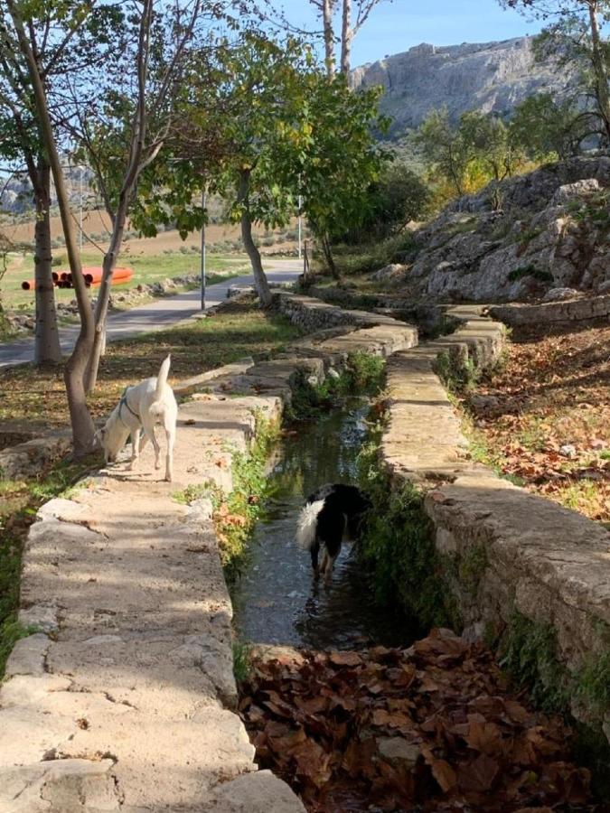 Villa Remedios Cuevas del Becerro Екстер'єр фото