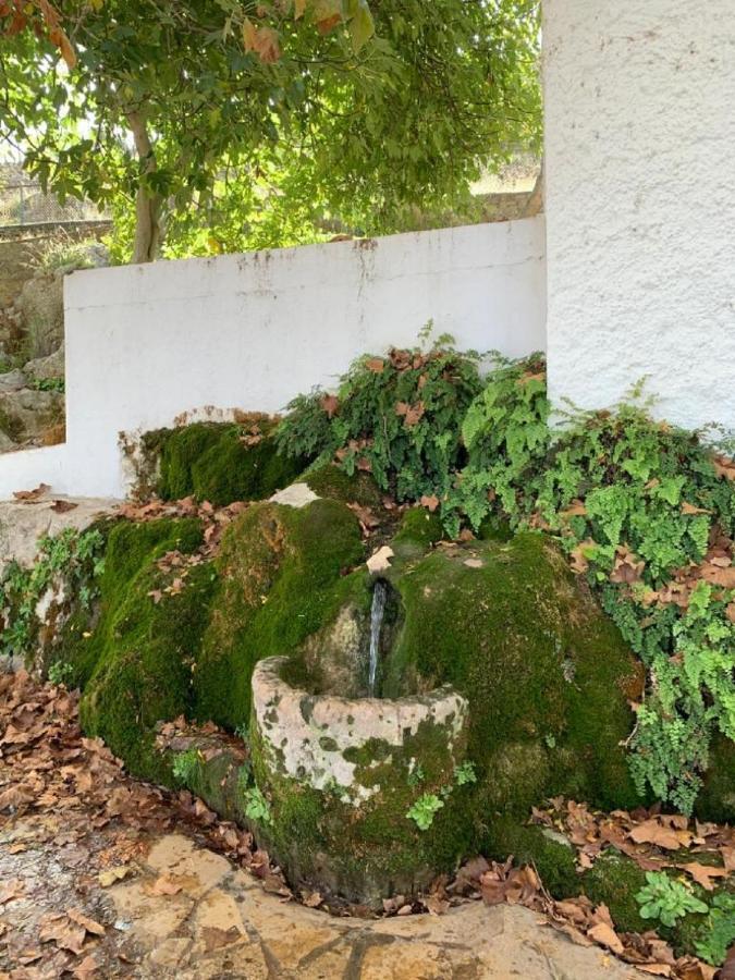 Villa Remedios Cuevas del Becerro Екстер'єр фото